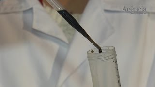 MackGraphe: o primeiro centro de pesquisa em grafeno da América Latina