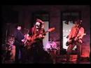 Barefoot Lizard Purple Tights Shane And The Gang