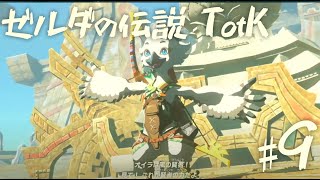 【ゼルダの伝説 ティアーズオブザキングダム】空飛んで戦うの楽しいぃ　【９】