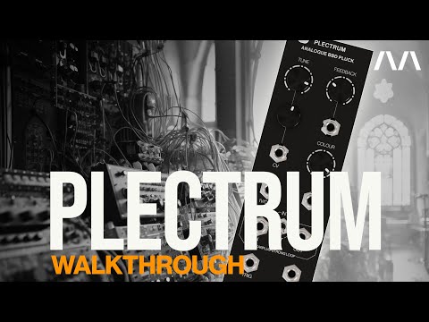 Morphor Plectrum - Analogue BBD Pluck Walkthrough