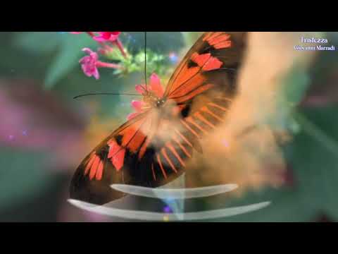 🥀Tristezza 🥀🍂Giovanni Marradi🍂