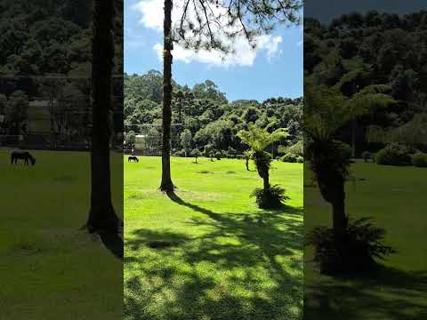 Lago São Bernardo em São Francisco de Paula RS