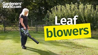 Leaf blowers - Buyer's Guide