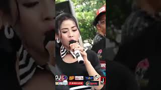 Download lagu ikan dalam kolam cover NASHA AQILA (AGA MUSIK). mp3