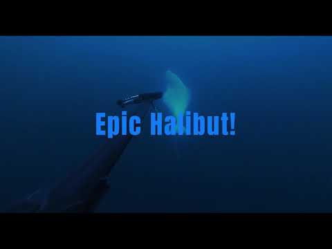 Epic Halibut in Saltstraumen (edited)