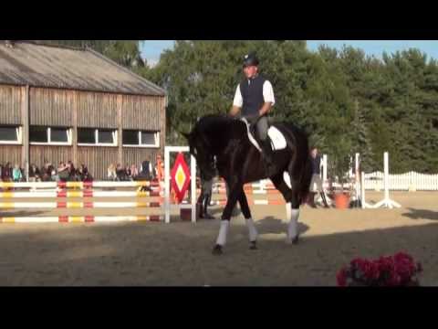 LIVALDON v. Vivaldi am Tag der offenen Tür in Adelheidsdorf