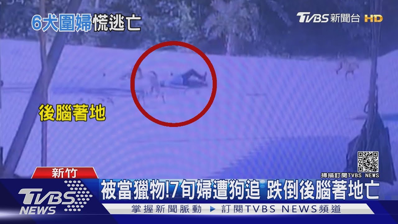 被當獵物!7旬婦遭狗追 跌倒後腦著地亡