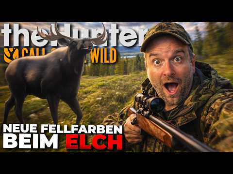 Jagd auf Elche mit NEUEN FELLFARBEN liefert ein ÜBERRASCHENDES Ergebnis.. 😳 thehunter COTW