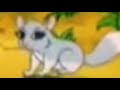 Go Diego Go Chinta Needs To Find The Chinchilla Mountain And Fast