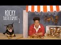Pet N Shape Dog Bones Chewy