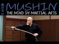 Mushin The Martial Arts Flow State & Utrainstinct