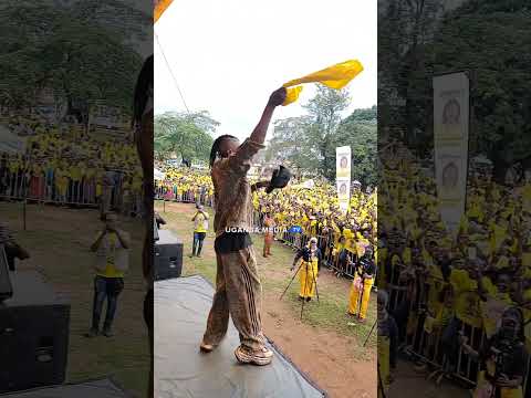 Masaka Jose Chameleon