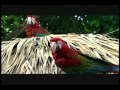 Punta Cana Dominican Republic Rien Van Loenen review reviews vacation vacations travel