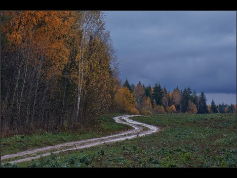 Jennifer Scharinger FUNDORT und Leichen-Ablageplatz. + (Kompass 100% wie immer.)