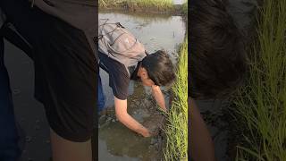 Download lagu FISHING FOR EELS USING BARE HANDS mp3