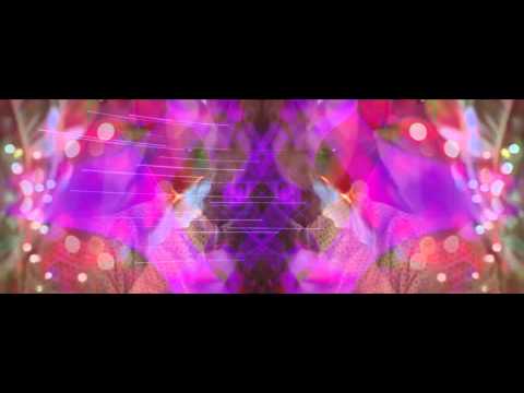 Los Hotpants - Universal (Kaleidoscope Short)