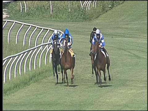 Galoppo 17/06/2016 - 2° corsa