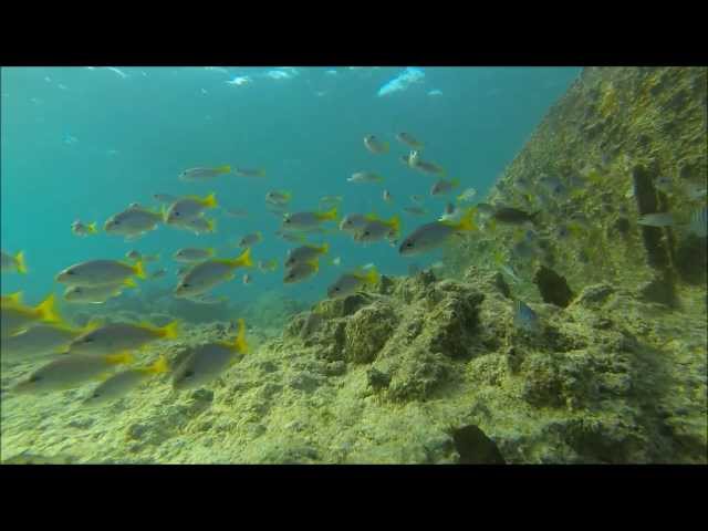 SANTA MARIA CABO VERDE -- ILHA DO SAL  -- SNORKELING IN THE SOUTH OF ISLAND