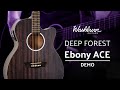 Washburn Deep Forest Ebony ACE Demo