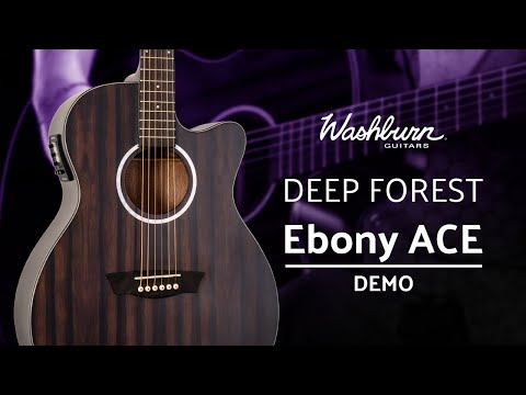 Washburn Deep Forest Ebony ACE Demo