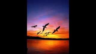 L'Oiseau (Pour faire le portrait d'un oiseau) - Jacques Prévert - Cover With Uke