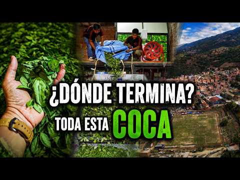 LA ASUNTA | Nadie te contó lo que aquí hacen con la COCA