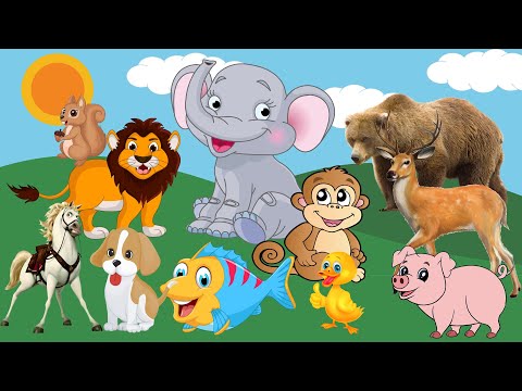 Strange of animals when the world is happy: cows, horses, ducks, elephants, monkeys, dogs