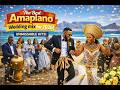 THE BEST AMAPIANO WEDDING MIX 2026 45 MINUTES NONSTOP HALALA MAKHOTI COLLECTION ZA VIBE 2026