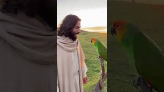 JESUS E O PAPAGAIO #sora2
