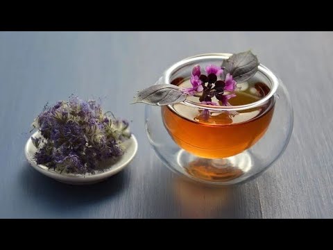 cudweed hipertenzija određeni stupanj rizika od hipertenzije