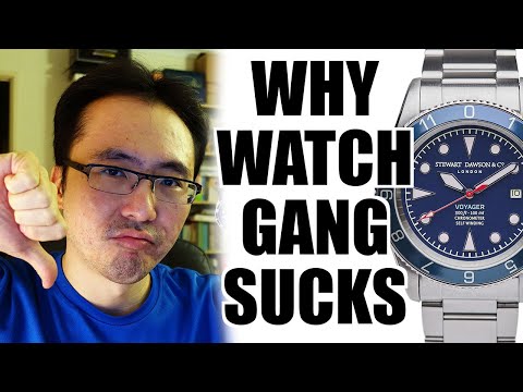 Why WatchGang Sucks! Stewart Dawson & Co Voyager Dual Time Zone - Perth WAtch #442