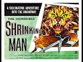 THE INCREDIBLE SHRINKING MAN (1957) ENDING HD