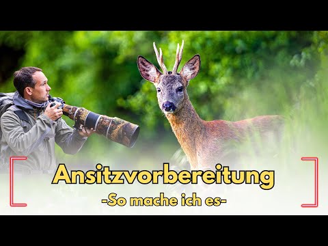 Hunting without preparation? It's possible, but it can often go wrong. Here's how I do it!