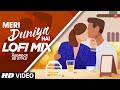Meri Duniya Hai Lofi Mix Dj Kedrock Sd Style Vaastav The Reality T Series Bollywood Classics