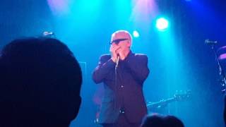 Nine Below Zero - Stormy Monday