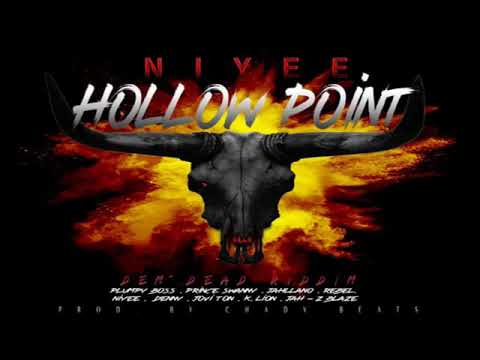 NIYEE - HOLLOW POINTS (Official Audio) DEM DEAD Riddim May 2019