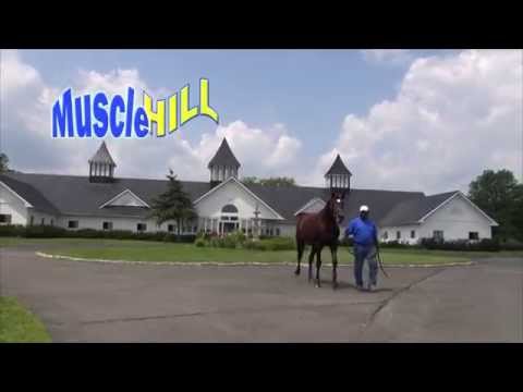 Muscle Hill Red Mile :30 second spot