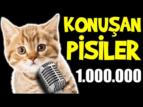 Konuşan Pisiler 1.000.000 - En Komik Kedi Videoları