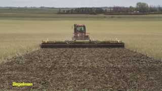 Pro-Till in Hailed Canola Field