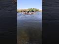 Just A Little Water On A Hot Ass Day Saltriversquirters Tubing Beerlife Summer Saltriver