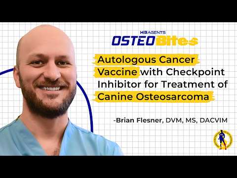 Autologous Vaccine & Checkpoint Therapy for Canine Osteosarcoma | Osteobites