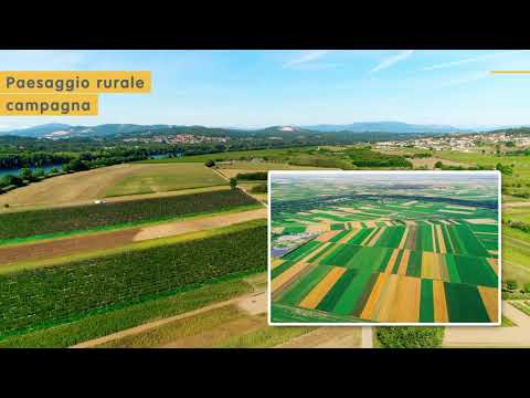 Flora e fauna della pianura