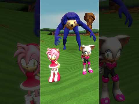 AMY or ROUGE ALL SIZE SHIN SONIC TAPES FAMILY GREEN HILL in Garrys Mod!