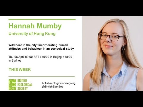 Ecology Live 2021 with Hannah Mumby - Wild Boar In The City