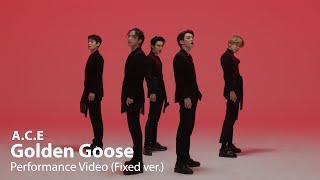 에이스(A.C.E) &#39;Golden Goose&#39; Performance Video (Fixed ver.)