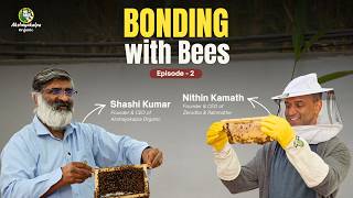 Urban Beekeeping at Nithin Kamath's Home | Bonding with Bees Episode 2
