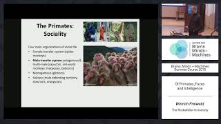 Lecture 1.5: Winrich Freiwald - Primates, Faces, & Intelligence