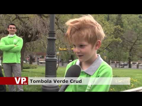 Tombola Verde Crud