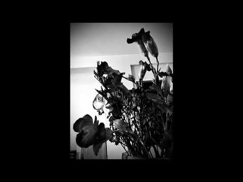 CHICO - Dark Flowers