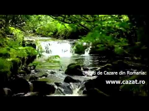 Cazare Motru, Gorj - Cazat.ro